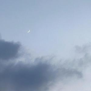 总有一天我会欺骗你