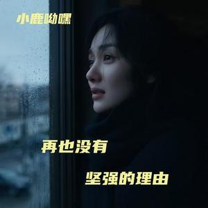 再也没有坚强的理由