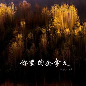 你要的全拿走 伴奏