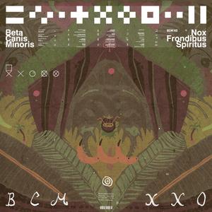 Nox Frondibus Spiritus