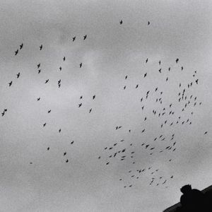 夜色的星是未眠的人