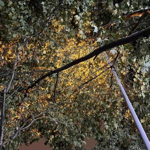 总有一天你会出现在我身边