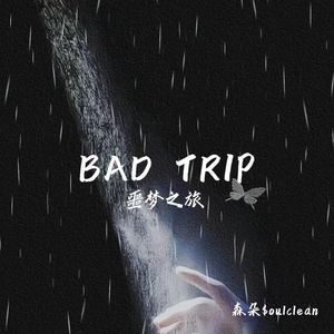 bad trip(噩梦之旅)