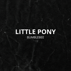 L1ttle Pony