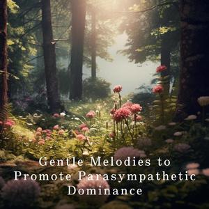 Evening Tide Whispers