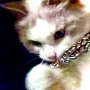 無法回憶的愛[prod by Blmix]