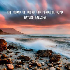 평온함을 주는 바닷가소리