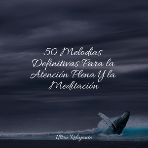 Facilitar