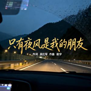 只有夜风是我的朋友