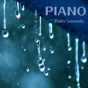 생상 : 백조 (빗소리)