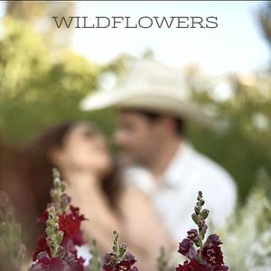 Wildflowers