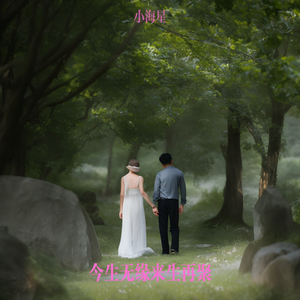 一直爱着你（高安 remix）