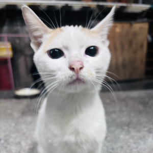 我们