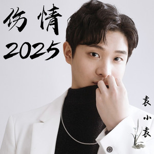 伤情2025