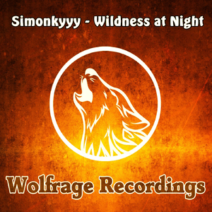 Wildness at Night (Original Mix)