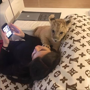 Aireus Babamdir Adamsin Abi