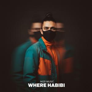 Where Habibi