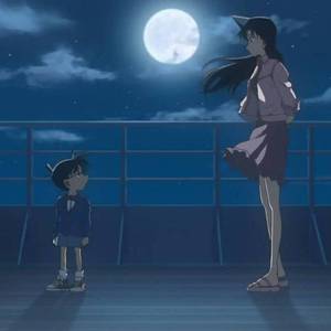 少 年 侦 探 ？（中配）