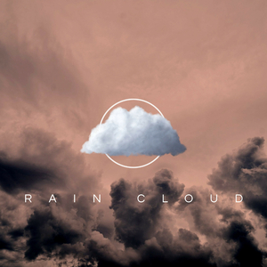 Velvety Rain