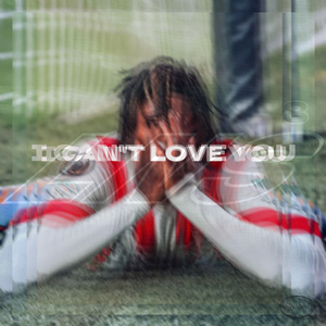 I Can't Love You