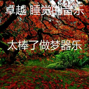 一尘不染做梦印象数