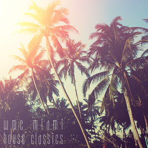 Waves (John Soultek Remix)