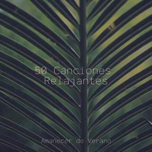 Parpadeante Abrazo de Soledad