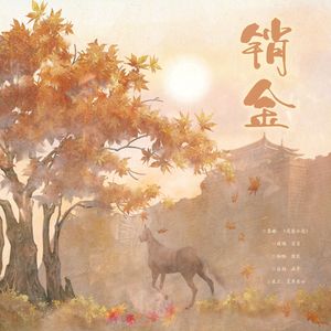 销金——金朝印象曲
