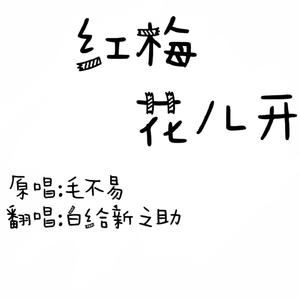 红梅花儿开（翻自 毛不易）