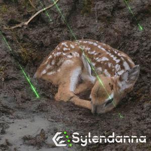 Not Around (Instrumental)