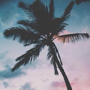 【Beat】梦中的葬礼