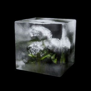 曾在幸运的时空夹缝里度过平凡的一生