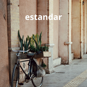 Estandar