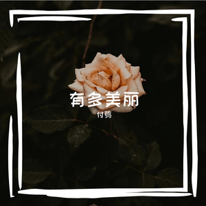 有多美丽