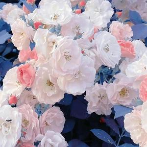 不属于地球上的