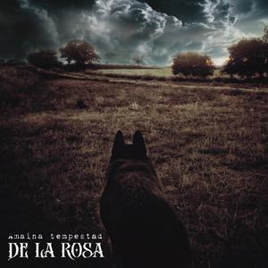 Herida y Sal (feat. Iris)