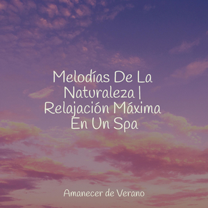 Mística Rapsodia Arrebato