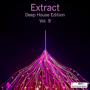 I See You (Danez Remix)