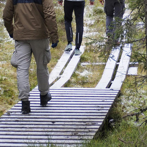 靴が鳴る - ハーモニカソロ