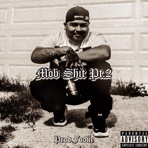Mob Shit Pt.2