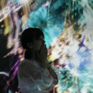 我曾经毫无指望的爱过你