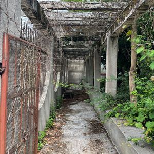 潮汐 伴奏