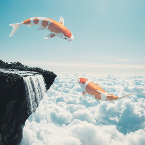 清水の舞台から飛び降りる