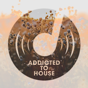 Taste Of Your Mind (Vocal Mix)
