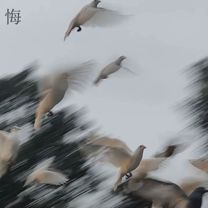 表再后悔嘛 feat.茉莉诗人