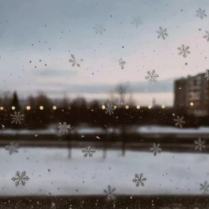 入了心的人怎能说忘就忘