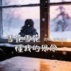 雪花雪花懂我的思念