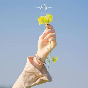 窗外雨滴 - 钢琴+下雨声