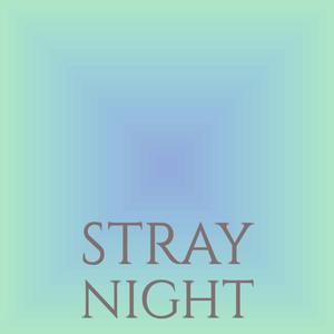 Orecchiette Rigatoni