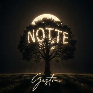 Notte